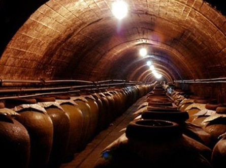 釀造/養殖企（qǐ）業廢氣處理